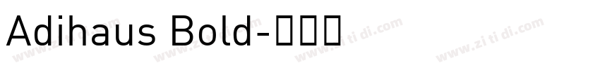Adihaus Bold字体转换